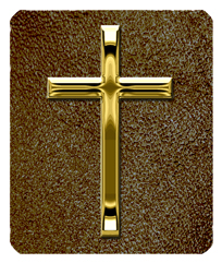 DF35-510-GD-SH-BR Gold Single Cross Shimmer Brown